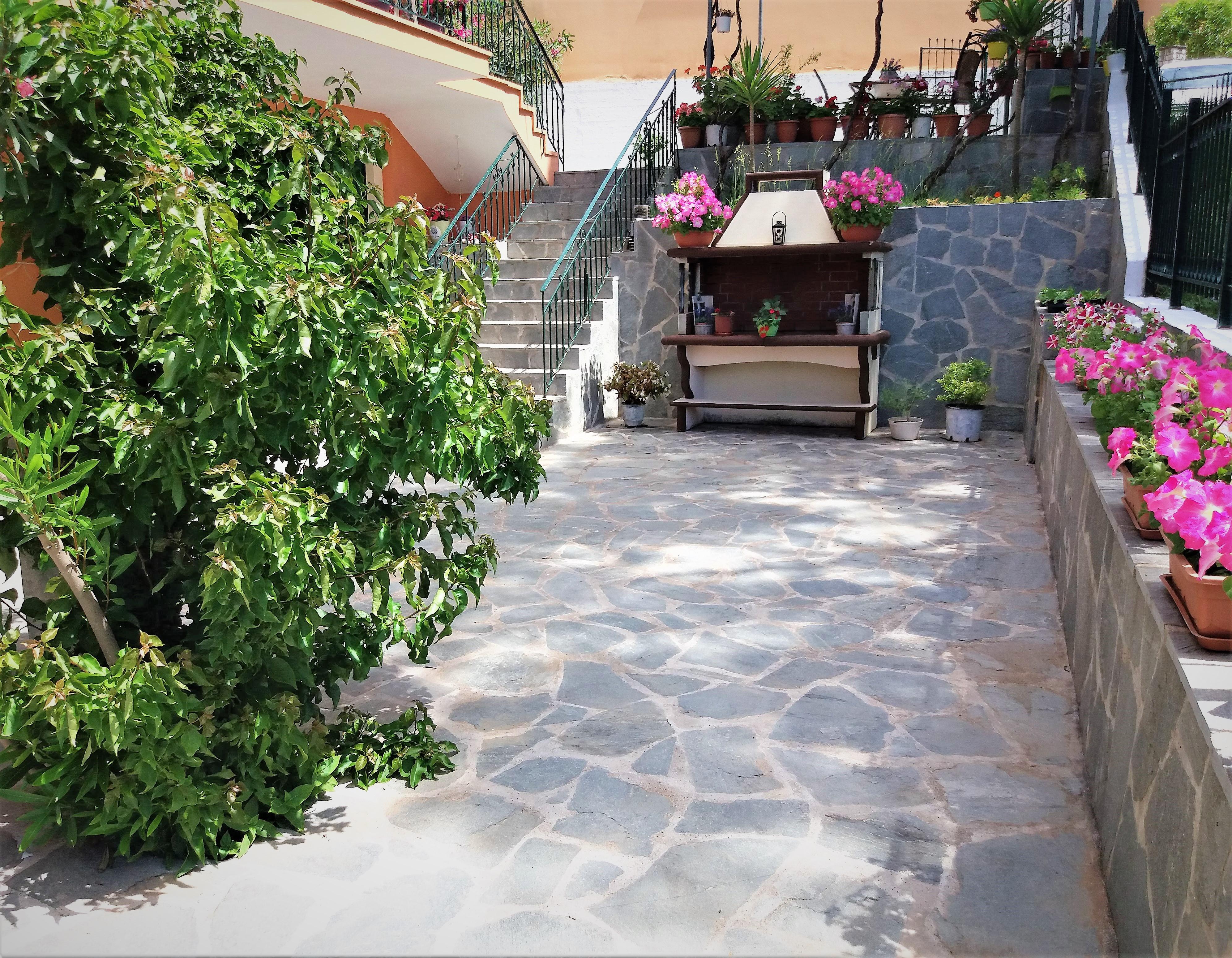 Ziogas Luxury Apartments Δασιά Εξωτερικό φωτογραφία