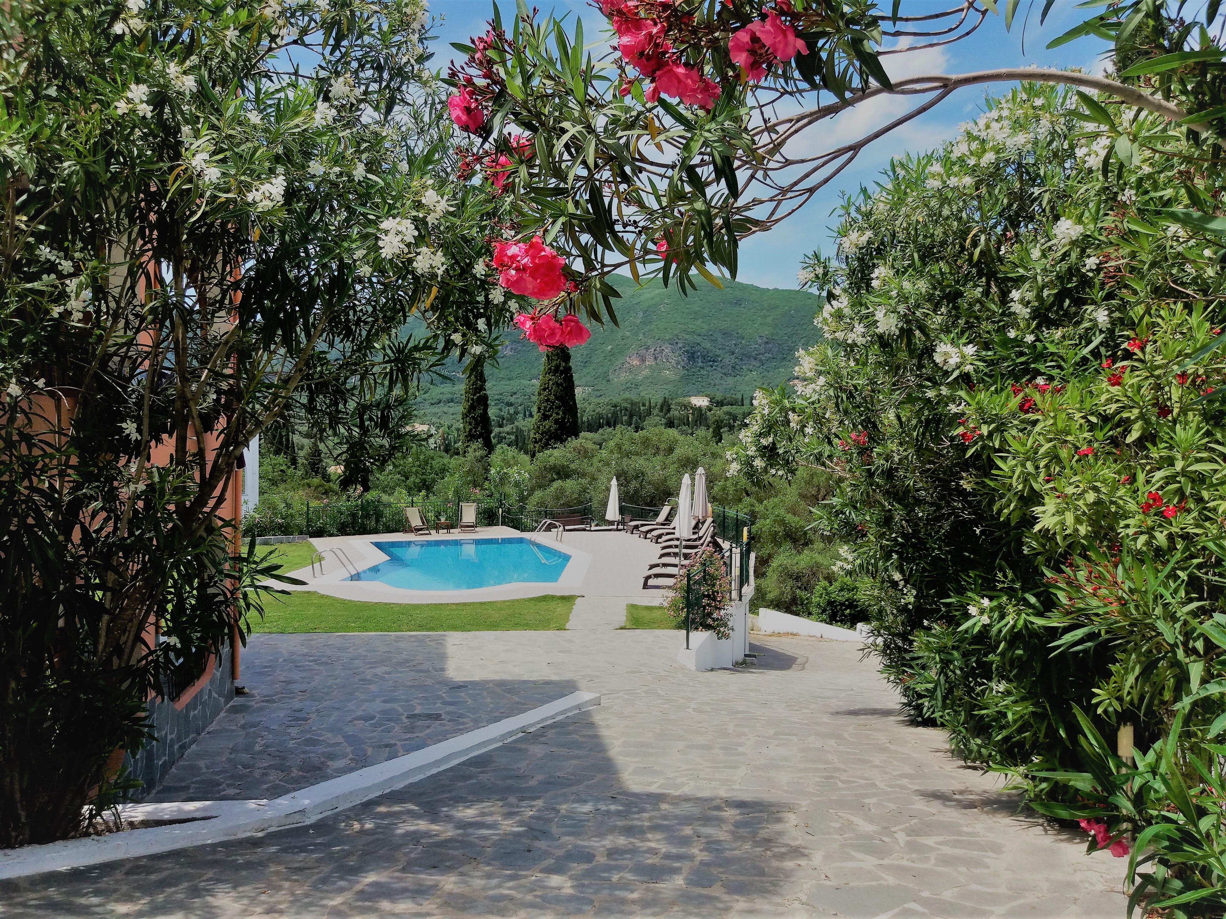 Ziogas Luxury Apartments Δασιά Εξωτερικό φωτογραφία