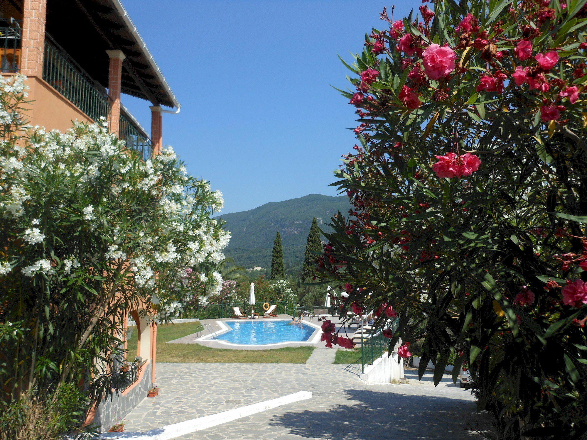 Ziogas Luxury Apartments Δασιά Εξωτερικό φωτογραφία