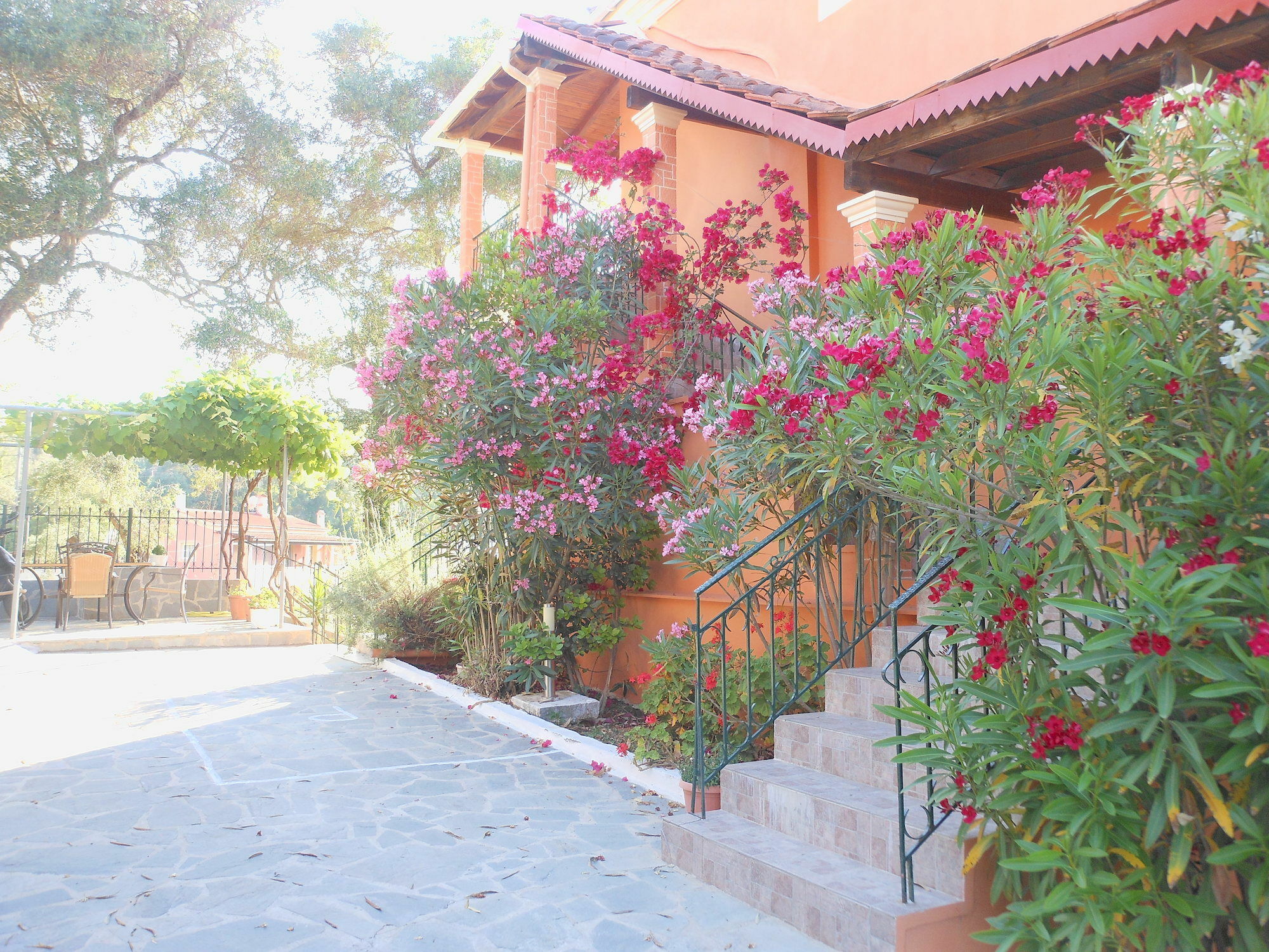 Ziogas Luxury Apartments Δασιά Εξωτερικό φωτογραφία